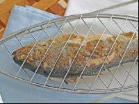 Fisch grillen 3