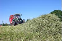 Grassilageernte Ladewagen 9