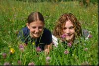 In der Wiese 8