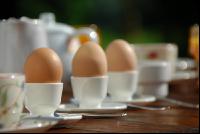 Frühstücksei 1