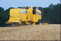 Gerste Ernte Bauer 3