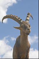Steinbock 4