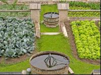 Klostergarten 2