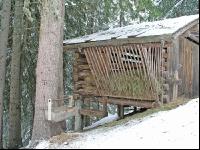 Wildfutterstelle 1