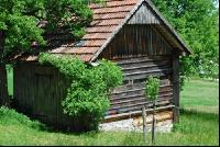 Bienenhütte 7