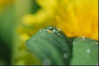 Wassertropfen 6