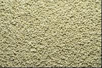Dicalciumphosphat