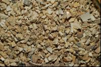 Muschelgrit 2