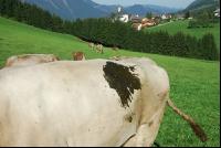 Beschissen