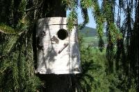Vogel Nistkasten