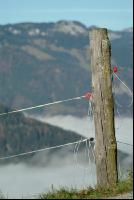 Nebel im Tal 11