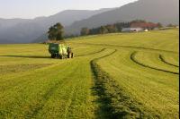 Silieren Krone 3