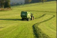 Silieren Krone 4