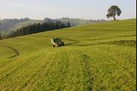 Silieren Krone 10