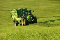 Silieren Krone 11