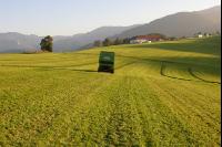 Silieren Krone 12