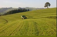 Silieren Krone 9