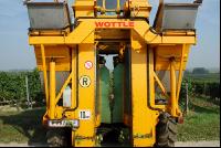 Weinlesemaschine 1