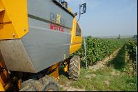 Weinlesemaschine 7