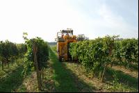 Weinlesemaschine 11