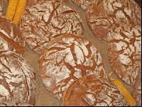Brotlaibe 4