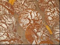 Brotlaibe 5