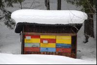 Bienenstock Winter