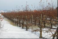 Schnee Schmelze 2