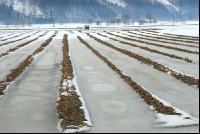 Schnee Schmelze 4