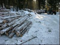 Schwachholz 9