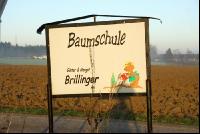 Baumschule