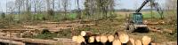 Forwarder 2