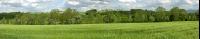 Gerste Panorama 1