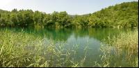 Grüner See