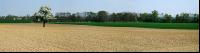 Mais Panorama 4