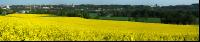 Raps Panorama 3
