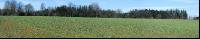Raps Panorama 5