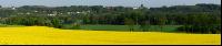 Raps Panorama 12