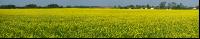 Raps Panorama 13