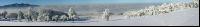 Winterland