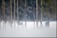Kanzel im Nebel