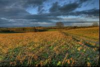 Abendrot 3