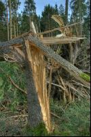 Windwurf 44