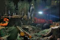 Forwarder Nacht 3