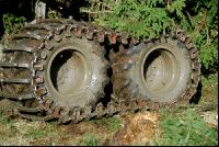 Forwarder 31