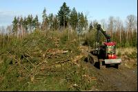 Forwarder 32