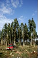 Forwarder 38