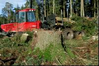 Forwarder 42