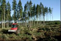 Forwarder 44