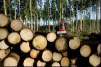 Forwarder 47